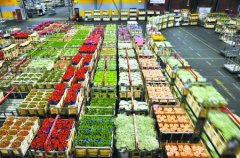 800平米鮮花保鮮冷庫安裝費用是多少？