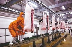 冷庫造價應該如何計算？1000噸凍肉冷庫大概多少錢？