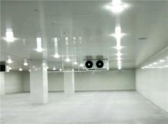 建個一萬平出租型冷庫大概需要投資多少錢？
