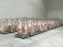 1000平牛肉冷藏庫(kù)造價(jià)多少錢(qián)，低溫凍肉冷庫(kù)建造