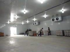 10000噸果蔬氣調(diào)庫(kù)建造需要多大面積，前期大概預(yù)算是多少？