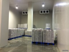 1000噸低溫冷庫(kù)安裝流程、設(shè)備、造價(jià)
