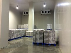 3000平果蔬保鮮庫規(guī)劃設計，冷庫總投資成本多少